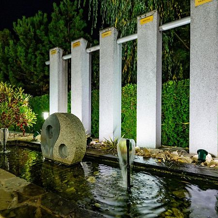 Hotel Casa Augsburg Wellness Băneşti Exterior foto
