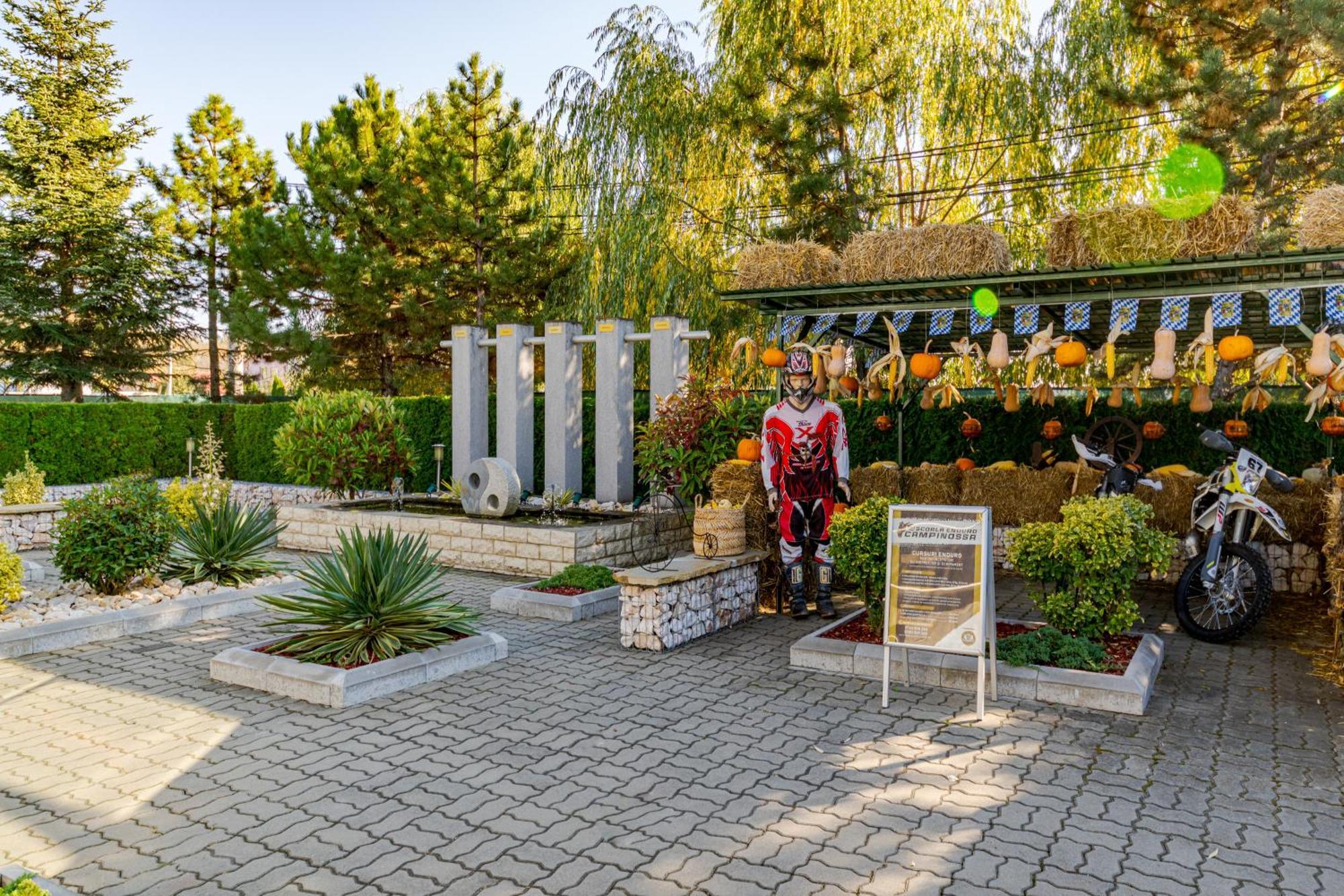 Hotel Casa Augsburg Wellness Băneşti Exterior foto